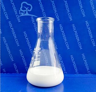 ���������턩 HOLPOSON®Saiz