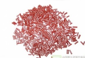 PP�����w�� �r�����