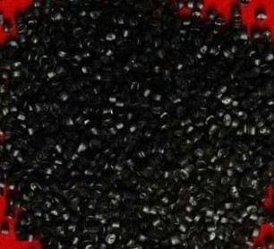 �㽭�|����� pp������