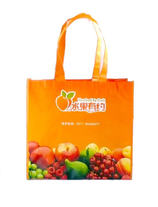 ���T�o������|���T�o�������S��