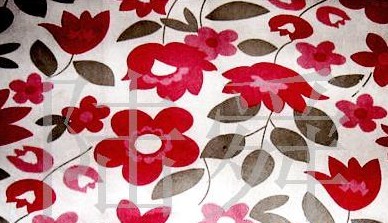 ӡ���o����