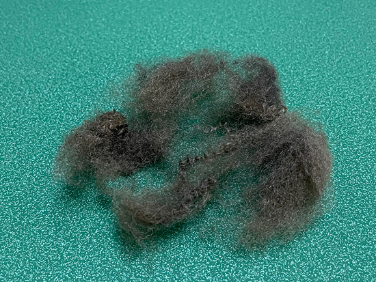 ���]���w�S