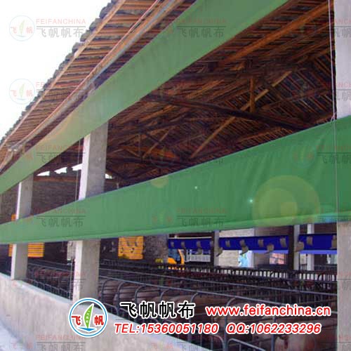 �����B(y��ng)ֳ�����������r������������ݷ�����