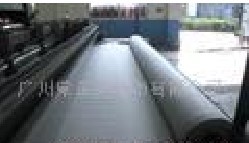 ᘴ�������