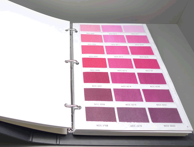 �o����CSNCCɫ��