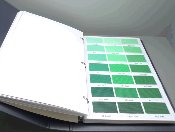 �o����CSNCCɫ��