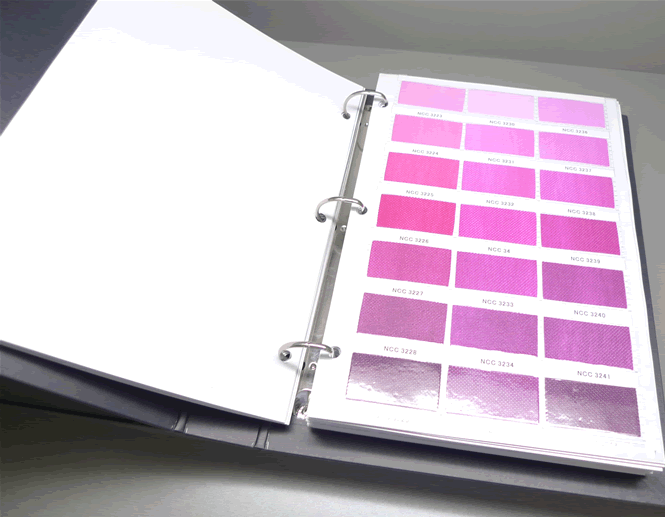 �o����CSNCCɫ��