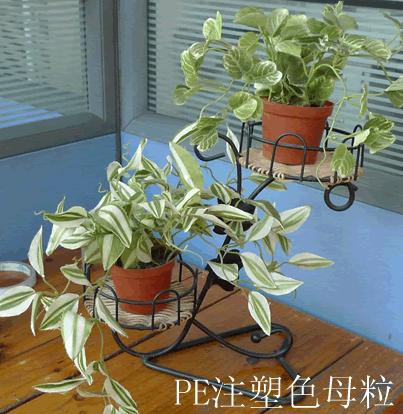 PEע��ɫĸ��