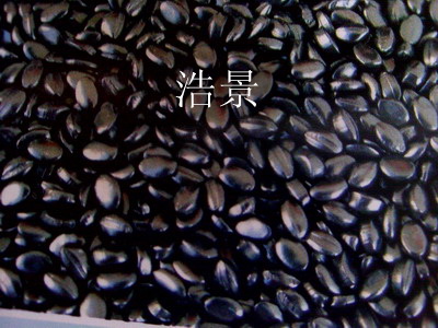 ��Ĥ��ɫĸ��