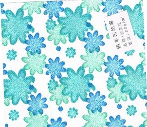 ӡ�� �o����