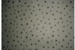 ����/�c(di��n)�ܟo(w��)����