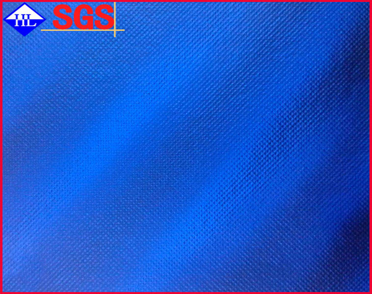 ��Ĥ�o����