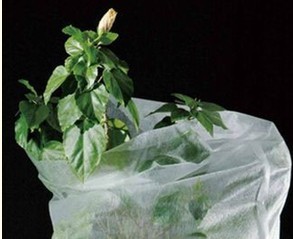 ����?z��)o����