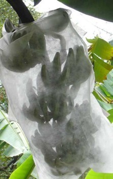 ����?z��)o����