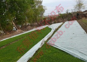 ����o(w��)����