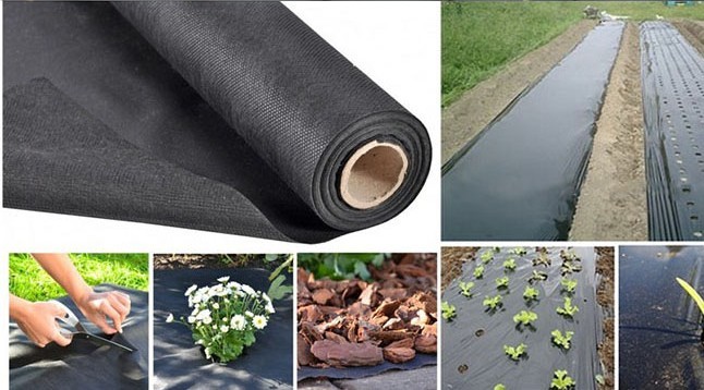 ���s�ݟo(w��)����