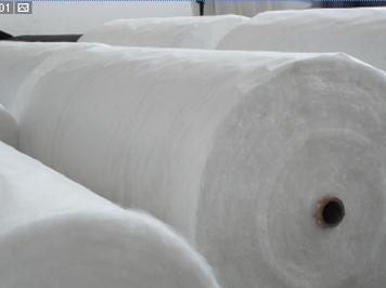 �o��������