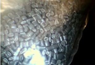 ������PP����һ