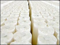 �C���r��