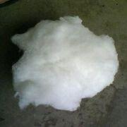 ����(y��ng)�_����