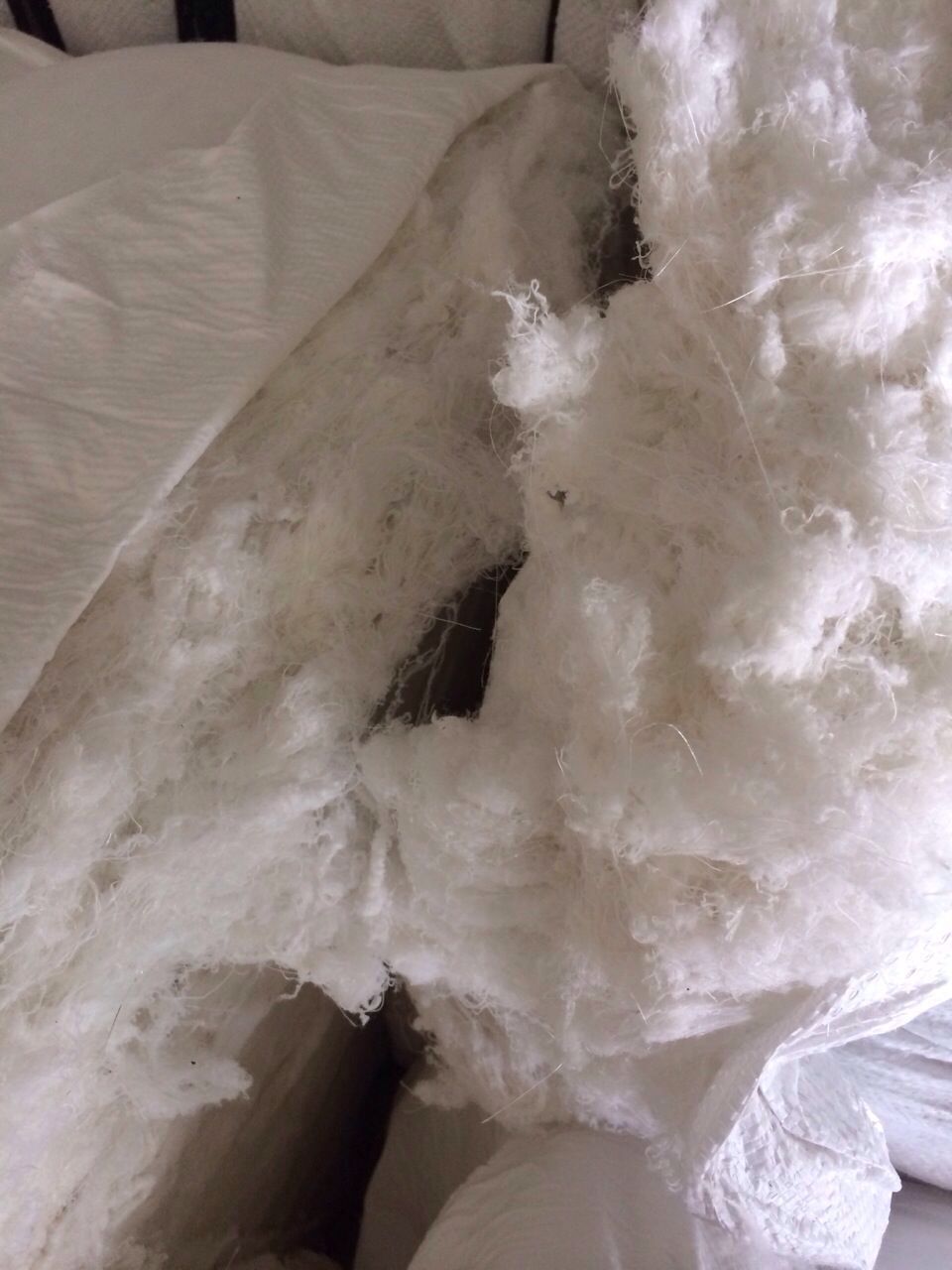 pet��]�黨�z�_����