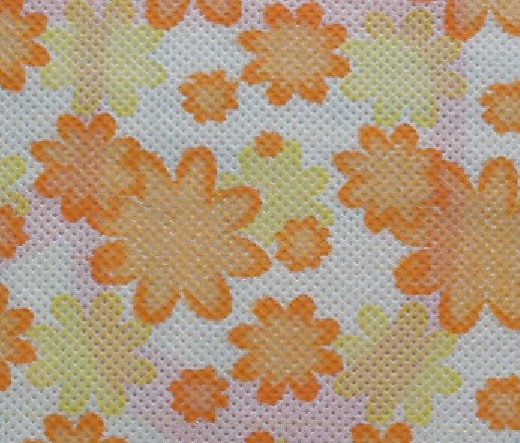 ӡ���o����