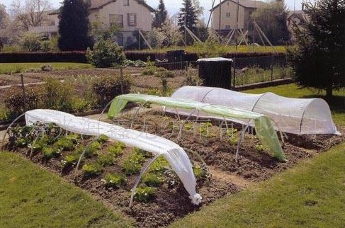 �r(n��ng)�ø��wĤ 