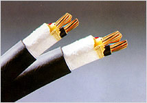 �����ßo����/��[����