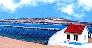 �����ßo����