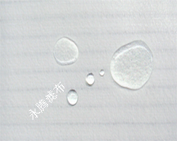 ���o늟o����