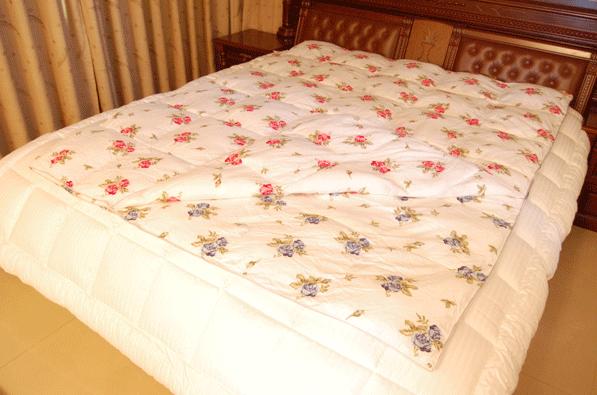 ����(y��ng)ӡ�����|