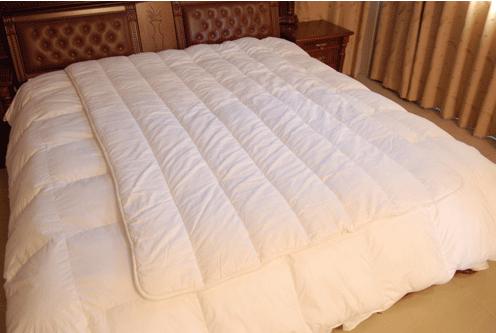 ����(y��ng)�Ҿ�ӡ�����|