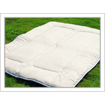 �����׼�