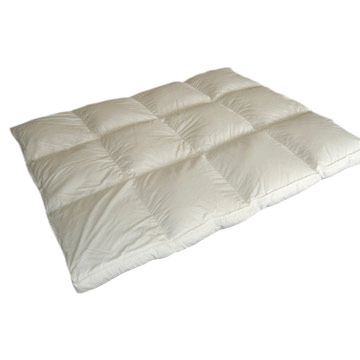 ����(y��ng)�����׼�