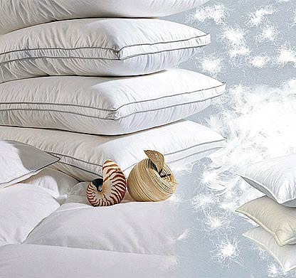 ����(y��ng)���^