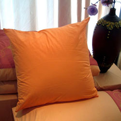 ����(y��ng)���ÿ���