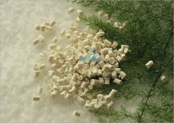 ���]���w��ɫĸ�� 