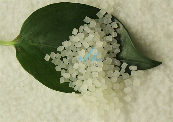 ���]���w��ȼĸ��