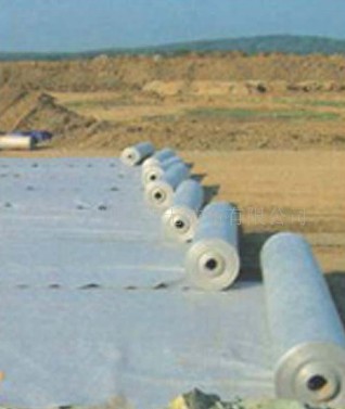 ᘴ�������