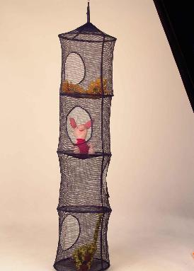 �W(w��ng)�񲼒��