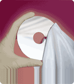 ����(x��)�w�SĨ��