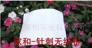 ����ᘴ̟o(w��)����