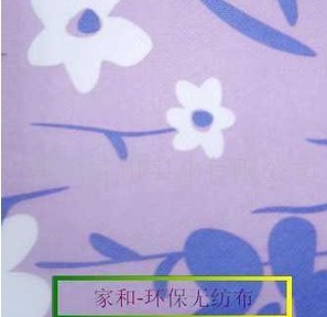 ӡ���o����