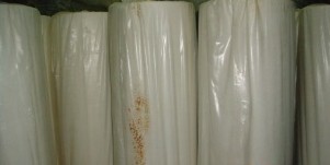 ���o���֡��t(y��)���l(w��i)����Ʒ