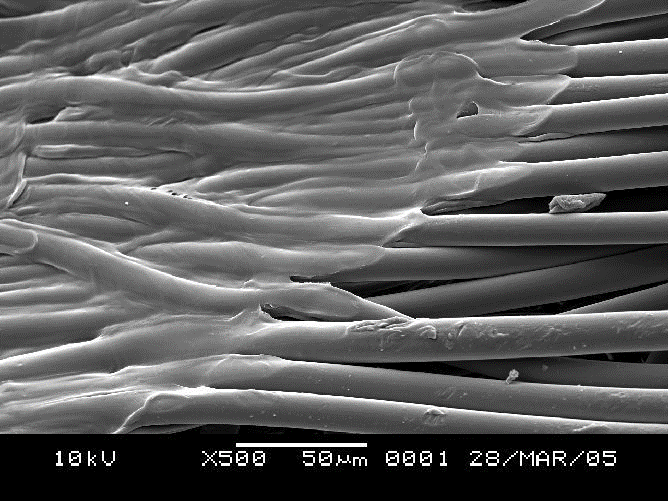 ����(y��ng)�p�M�֟o(w��)����