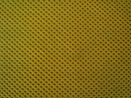 PP��ճ���o����