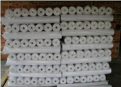 �C���r��