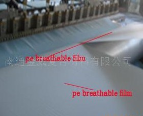 �o������(f��)�ϲ�