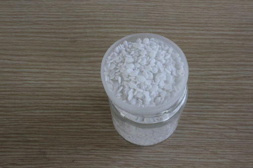 �o�������