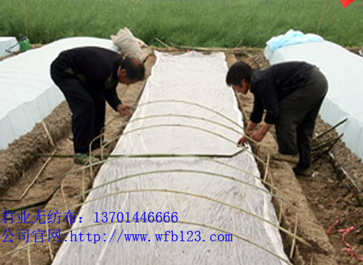 ���I(y��)����(y��ng)ˮ�����팣�ßo�������gӭ�����ԃ